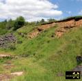 Quaderkalk Stbr. Luetzelbruch bei Lindelbach nahe Wuerzburg, Bayern, (D) - 18. Mai 2023 (14).JPG